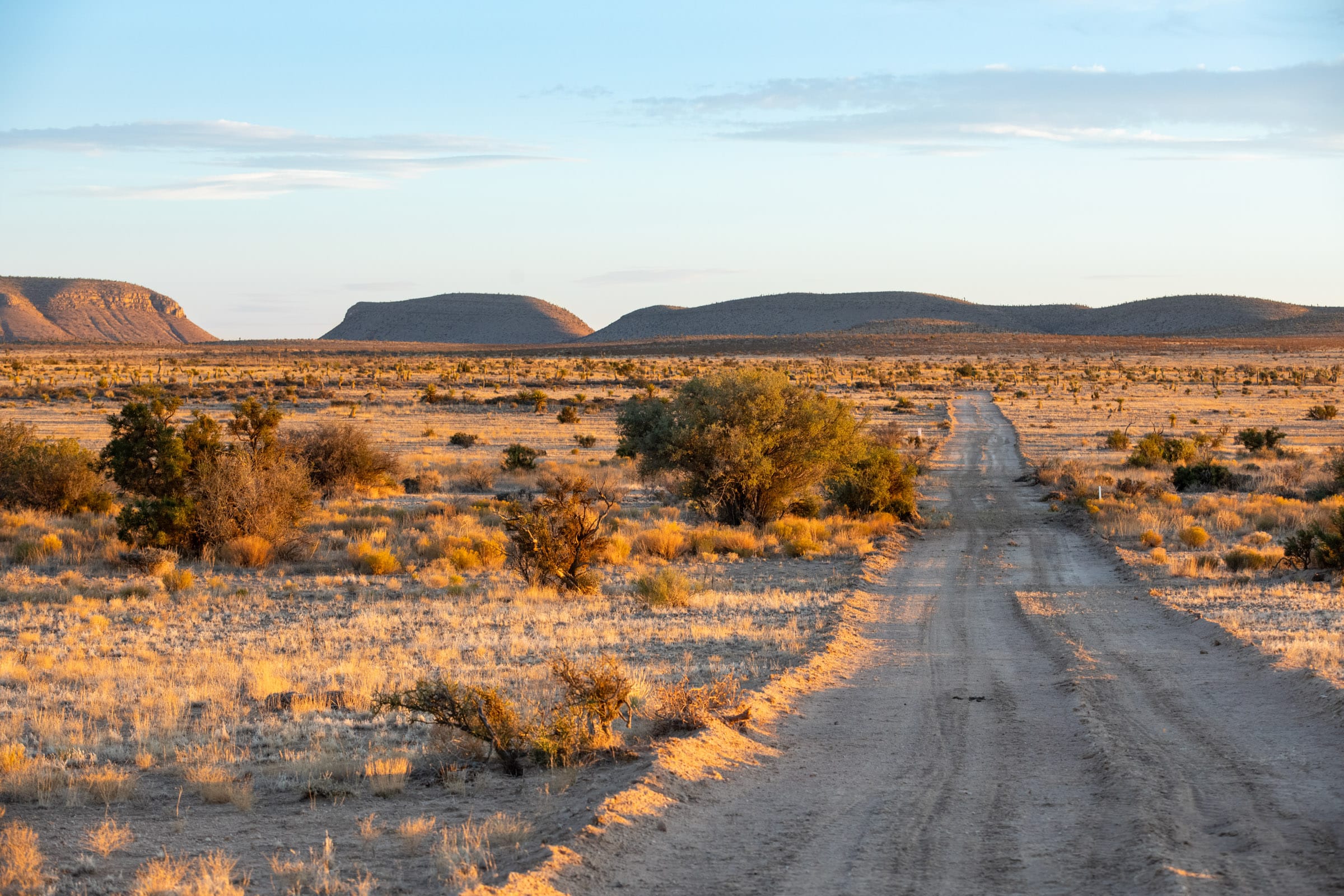 Sunrise Ranches photo 9