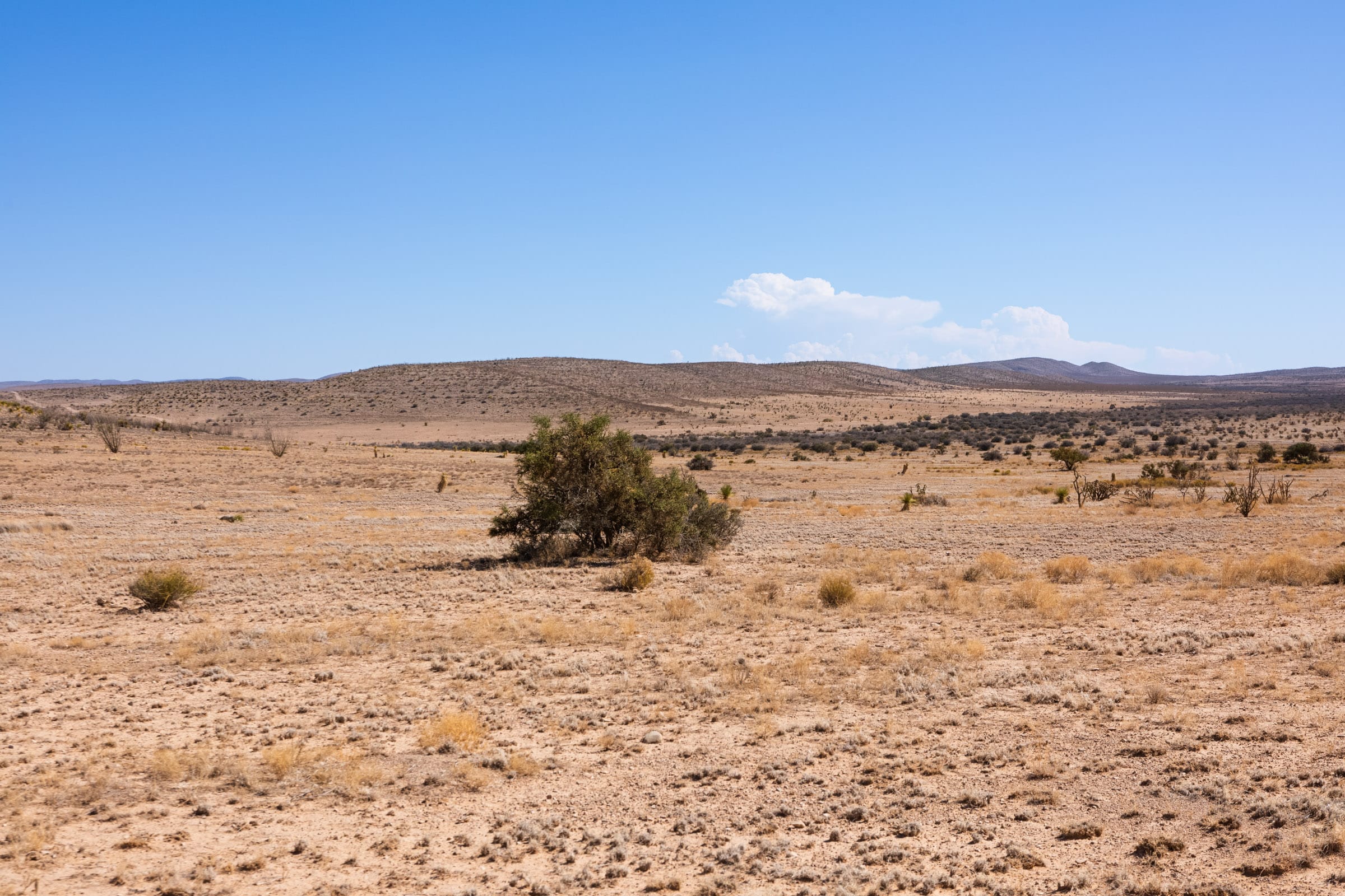 Sunrise Ranches Phase IV photo 9