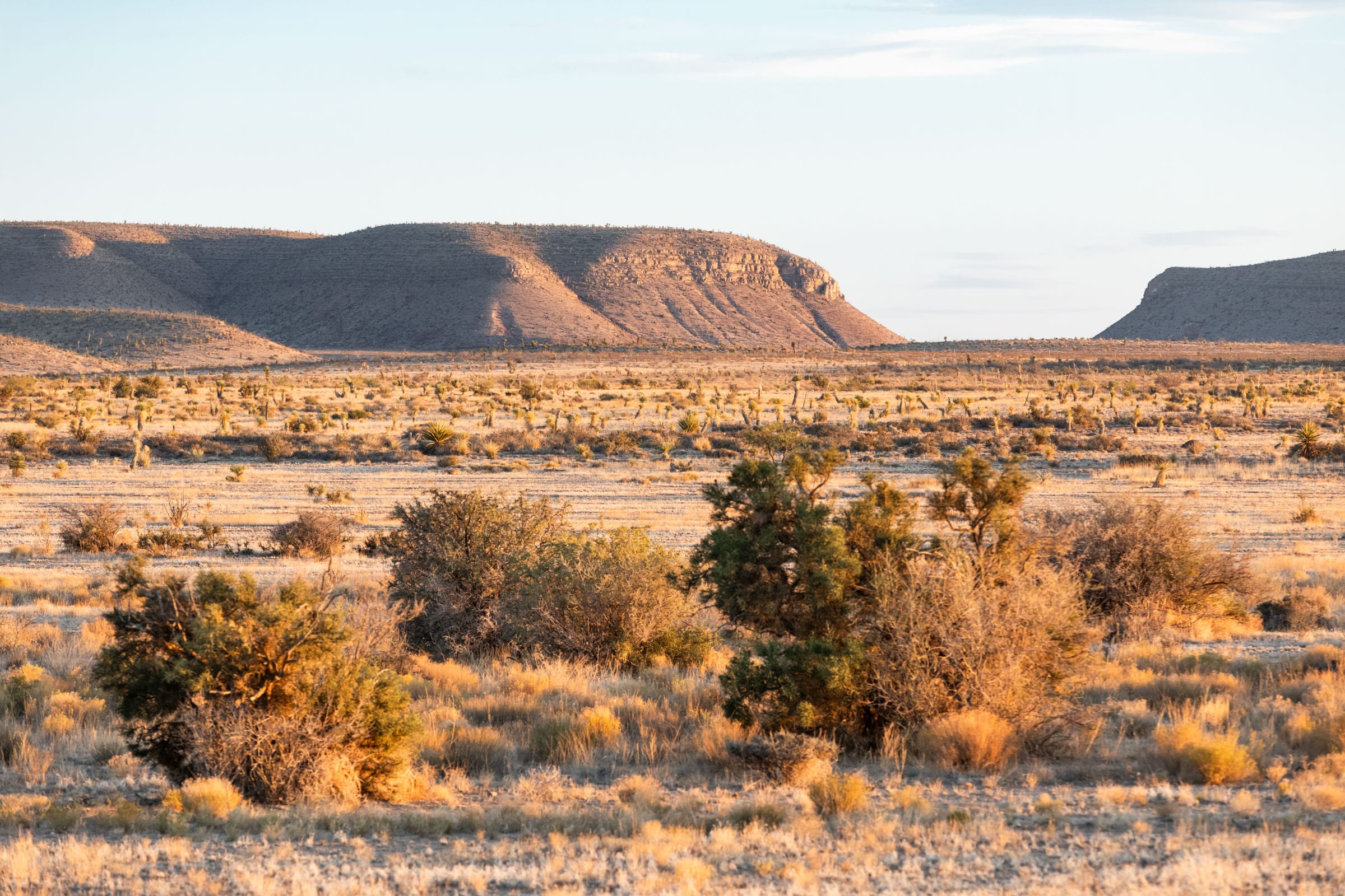 Sunrise Ranches photo 15