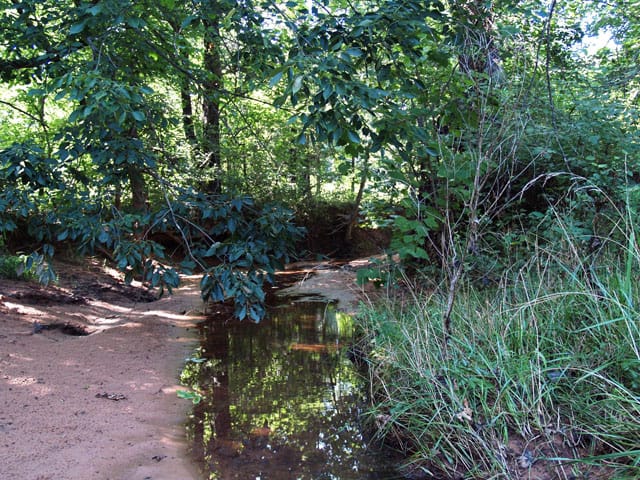 Silver Moon Ranch photo 8