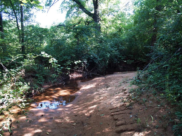 Silver Moon Ranch photo 6
