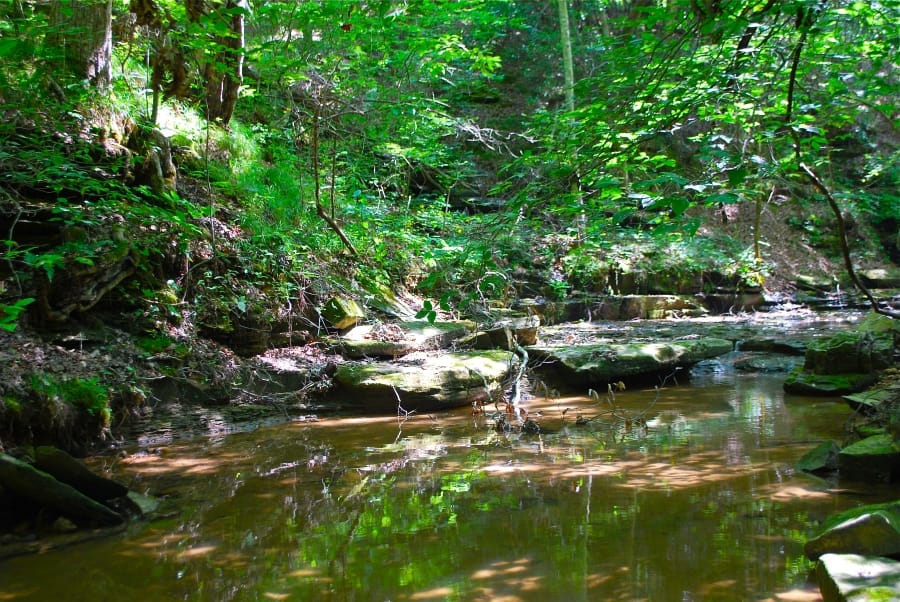 Sugartree Falls photo 8