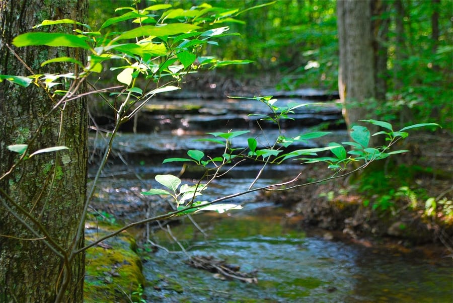 Sugartree Falls photo 5
