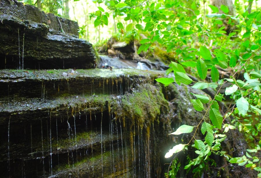 Sugartree Falls photo 7
