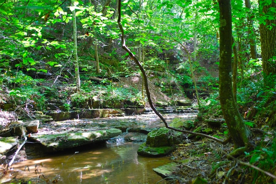 Sugartree Falls photo 9