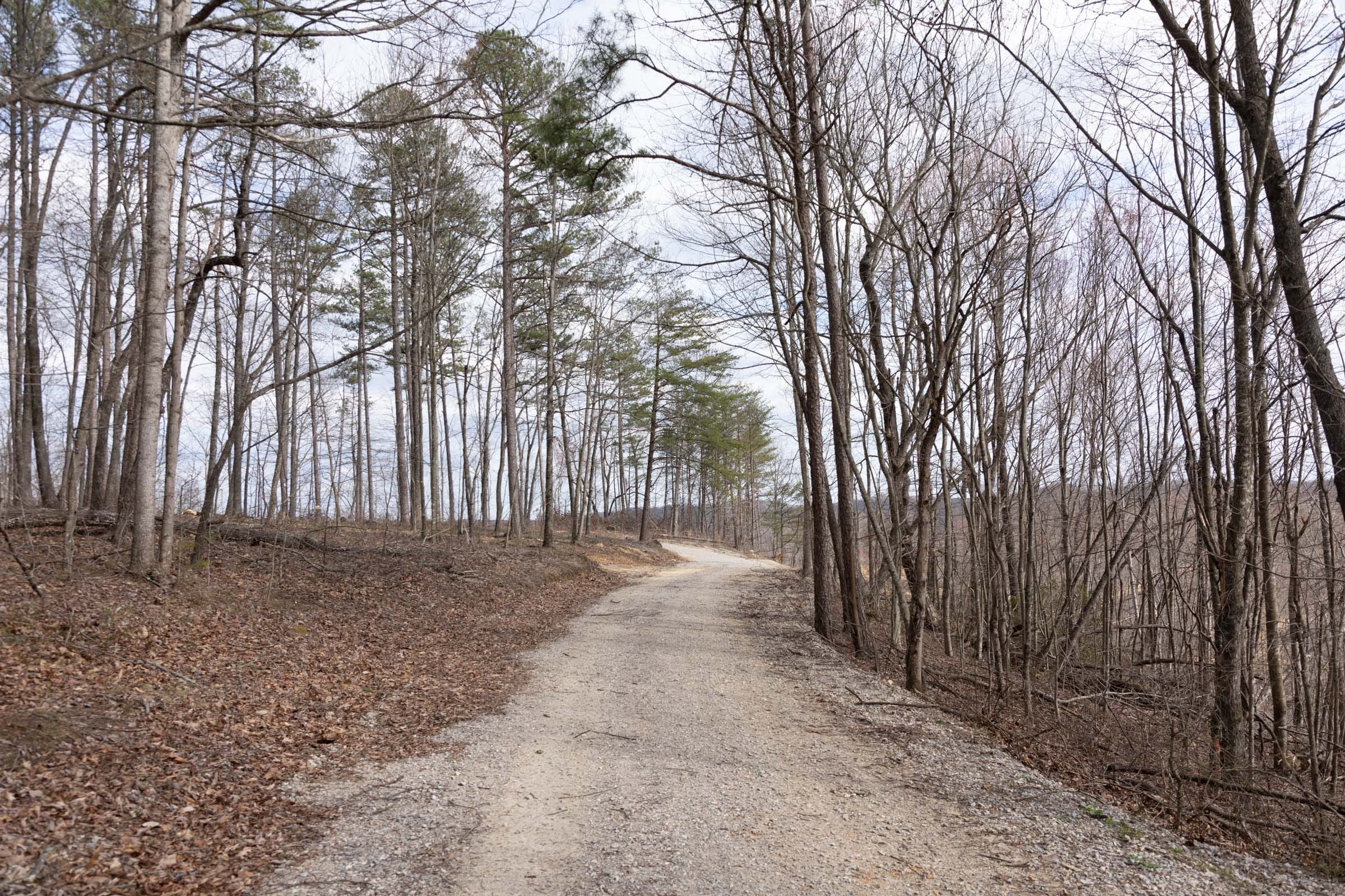 Creek Hollow Phase I photo 10