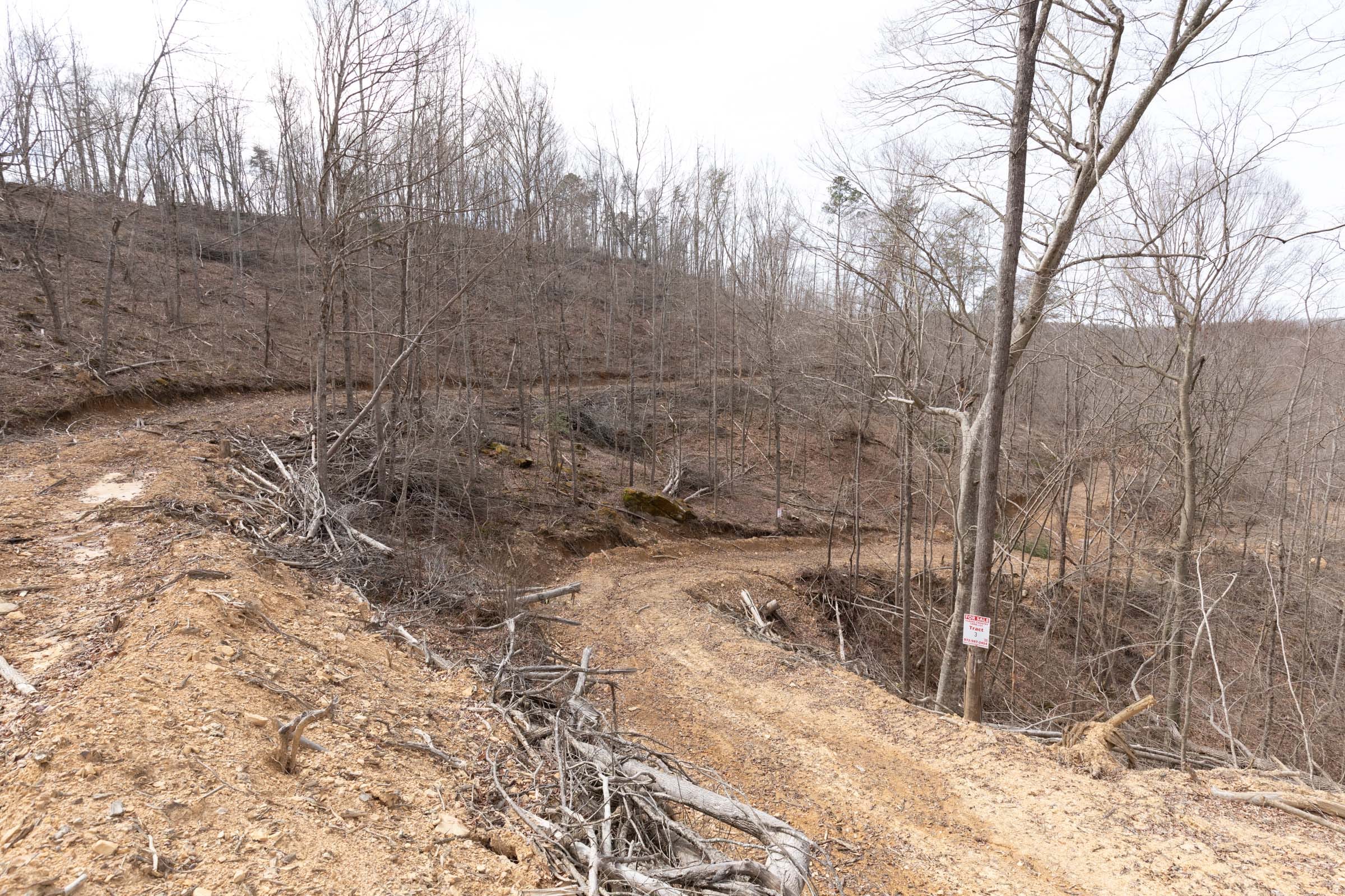 Creek Hollow photo 7