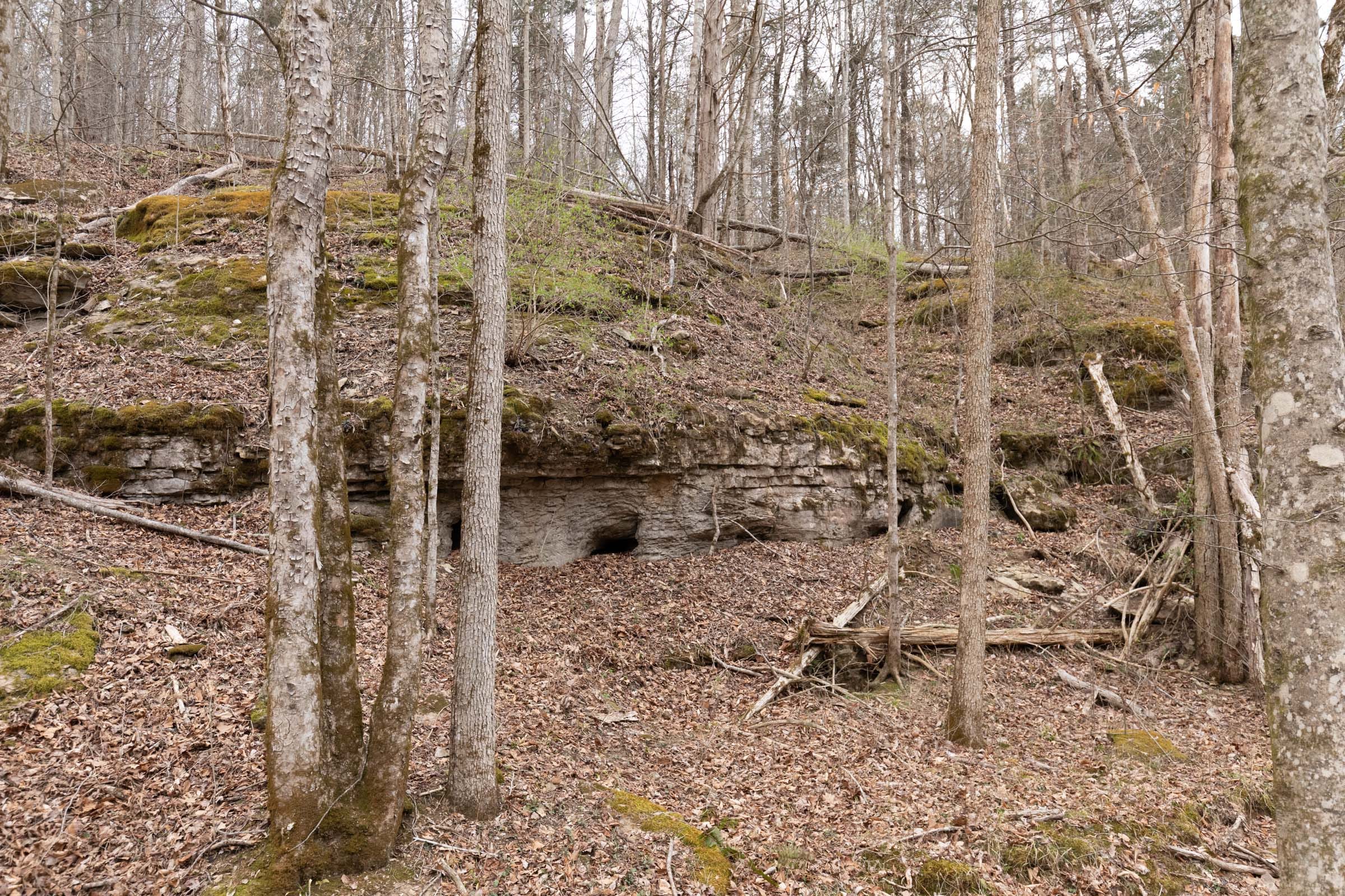 Creek Hollow photo 15