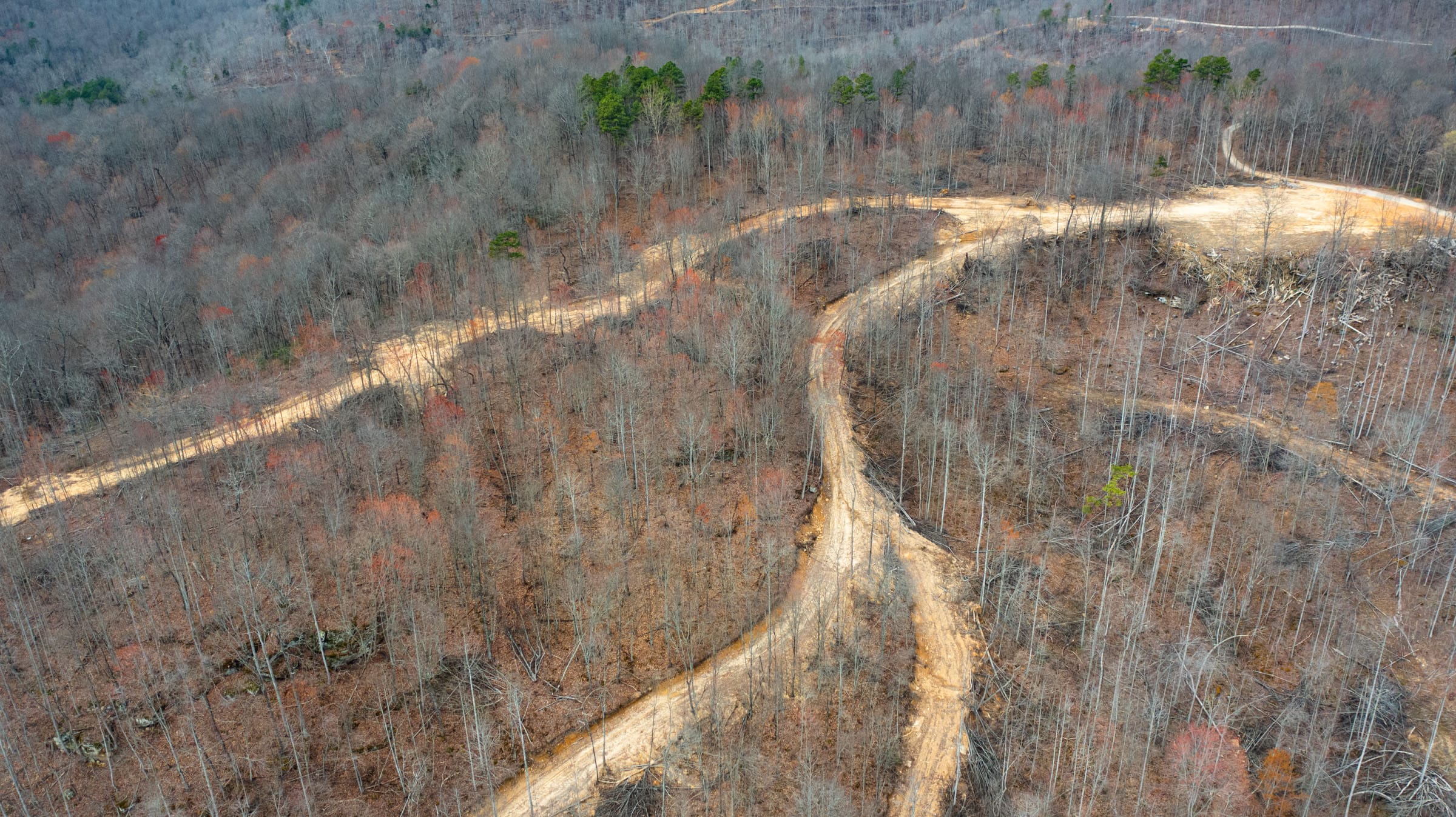 Creek Hollow photo 5