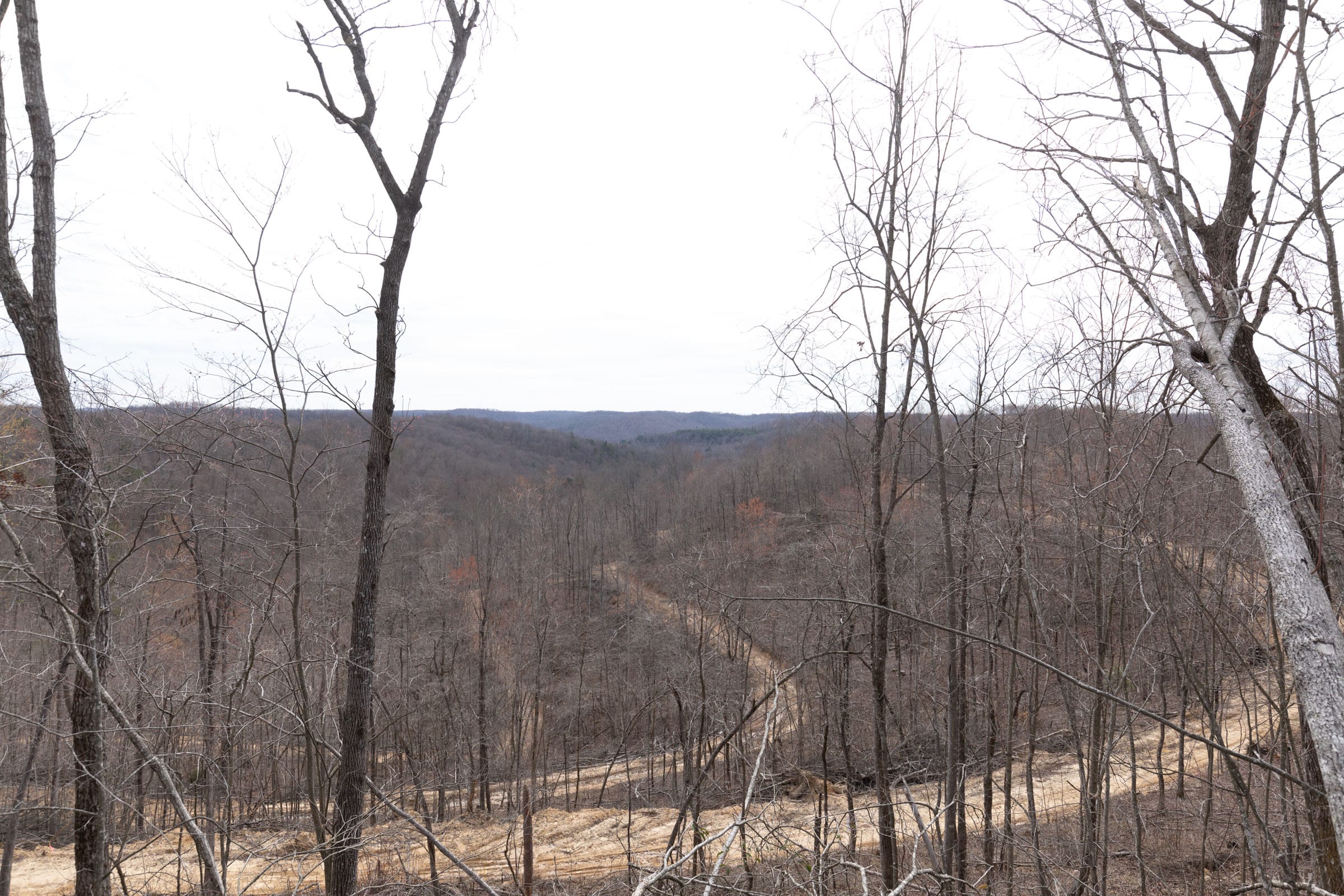 Creek Hollow photo 11