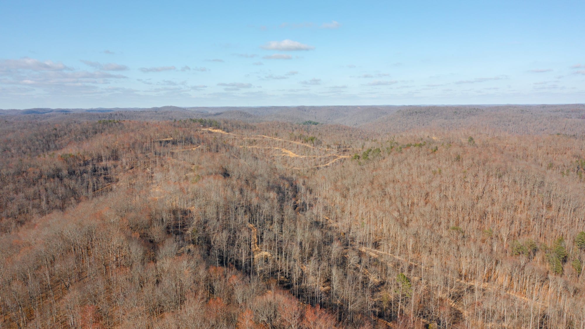 Creek Hollow Phase I photo 13