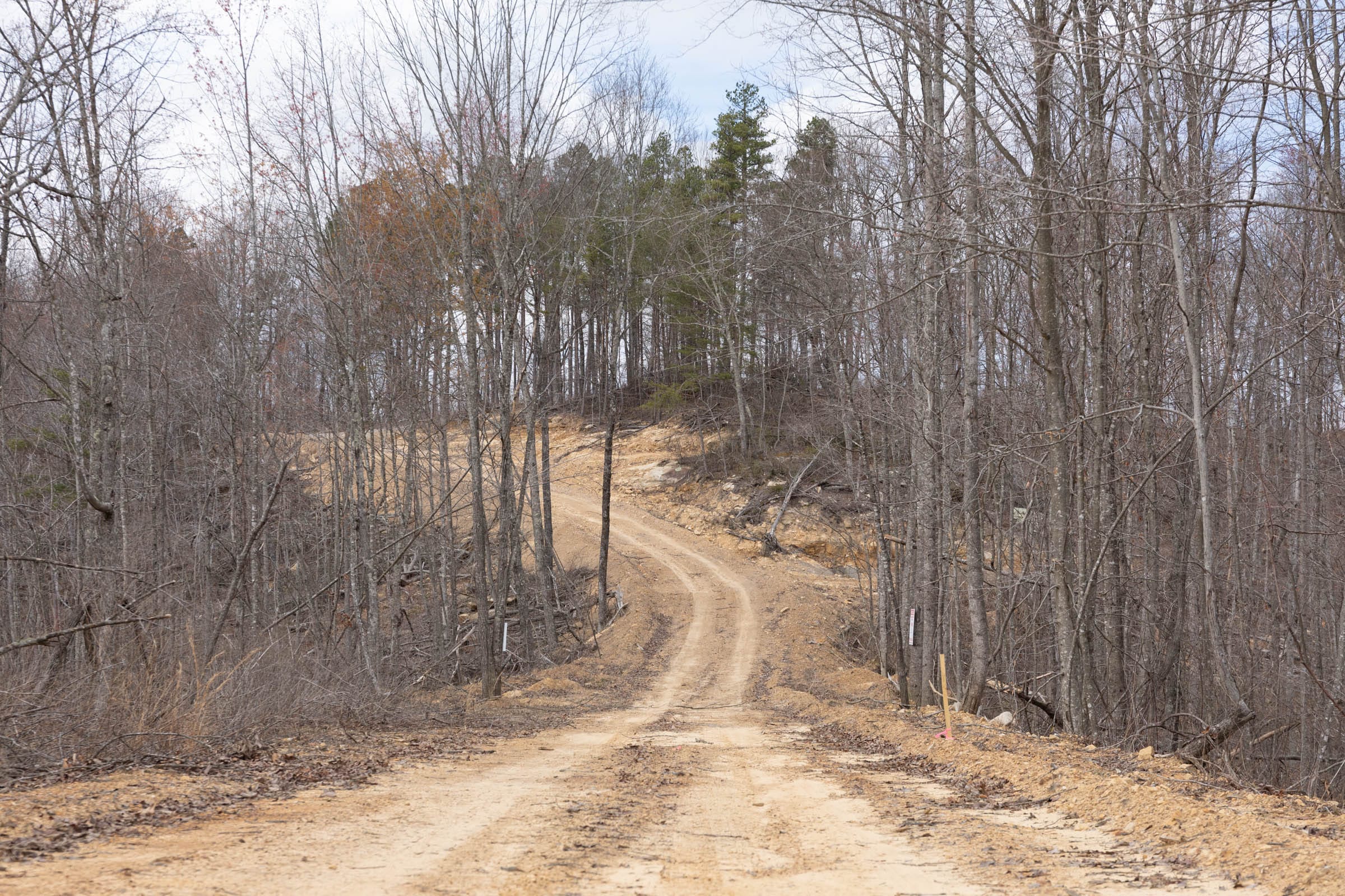 Creek Hollow photo 19