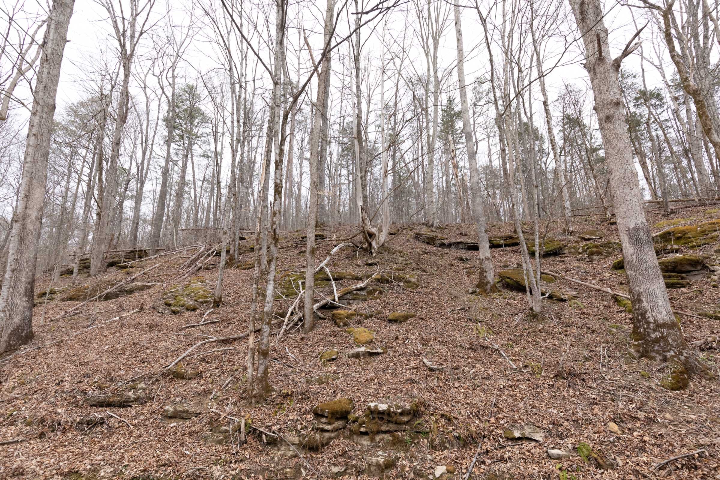 Creek Hollow photo 17