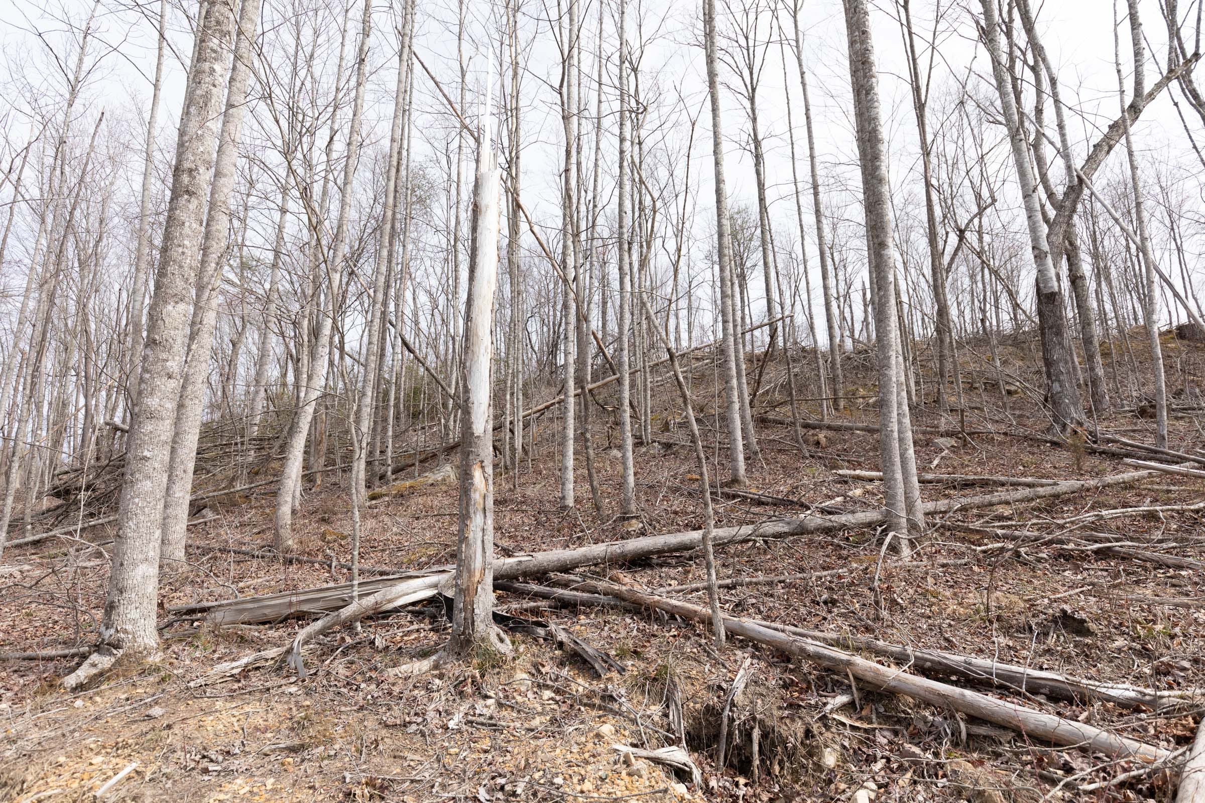 Creek Hollow photo 9