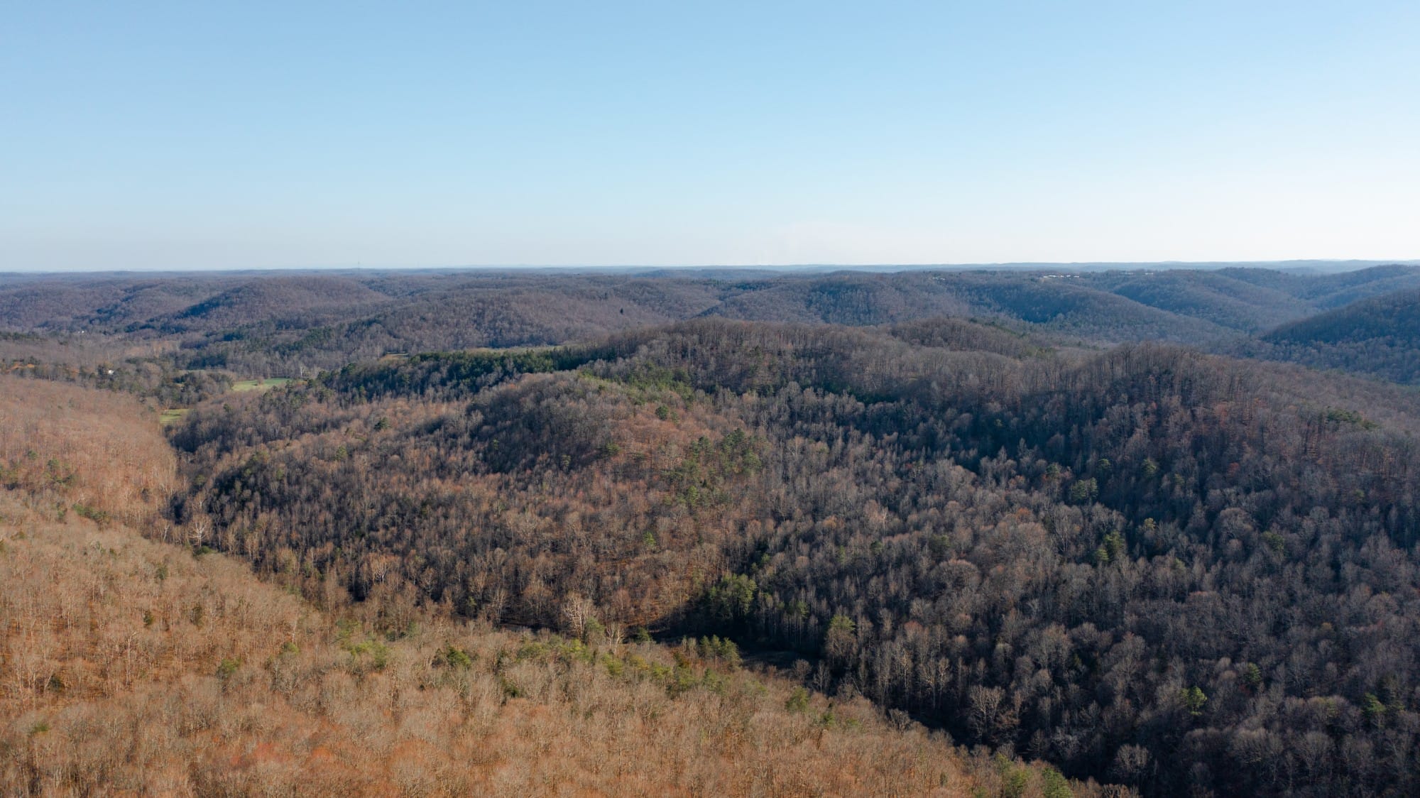 Creek Hollow Phase I photo 11