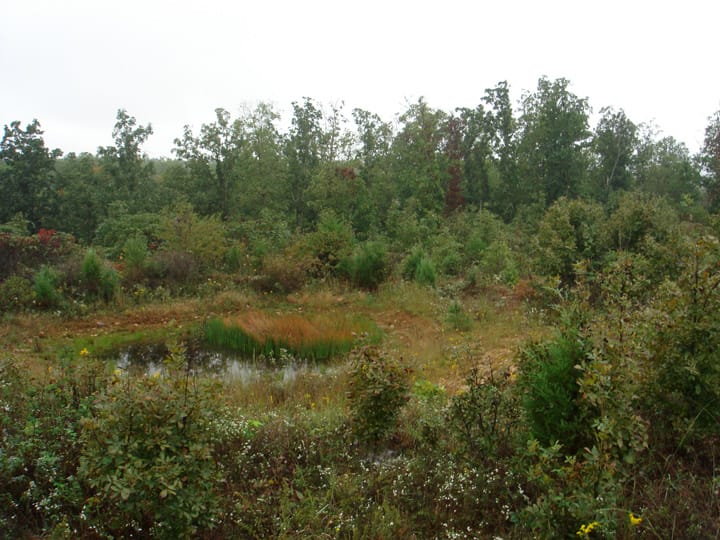 Ranches Of Montauk Park photo 14