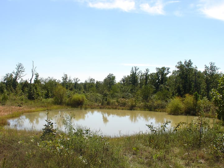 Ranches Of Montauk Park photo 12
