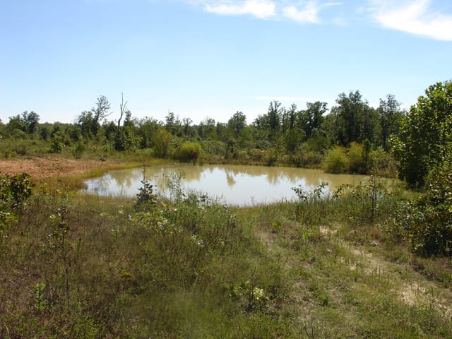 Ranches Of Montauk Park photo 11