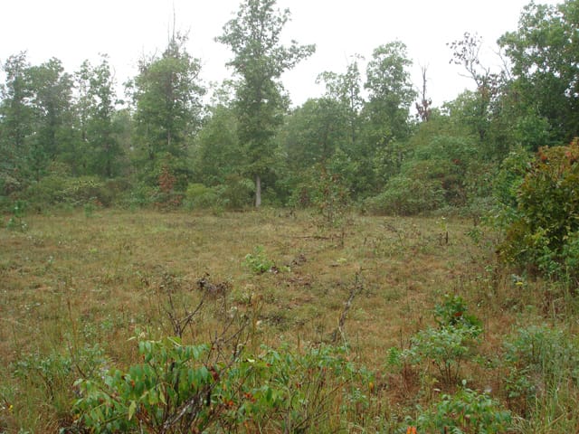 Ranches Of Montauk Park photo 10