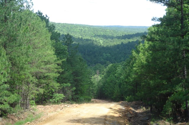 Kiamichi Wilderness photo 8