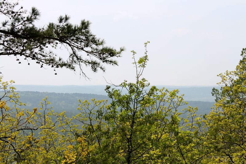 Kiamichi Wilderness photo 4