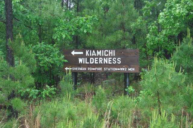 Kiamichi Wilderness photo 10