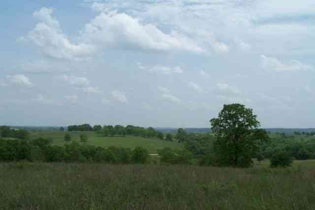 Whispering Oaks photo 11