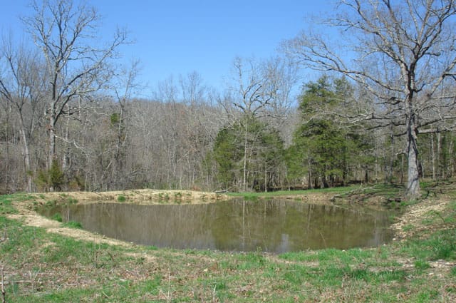 Whispering Oaks photo 15