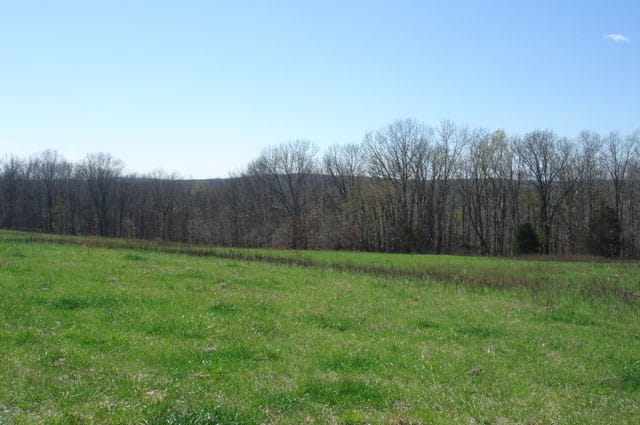 Whispering Oaks photo 4
