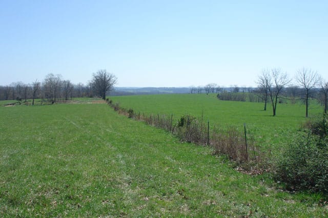 Whispering Oaks photo 13
