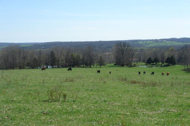 Whispering Oaks photo 3