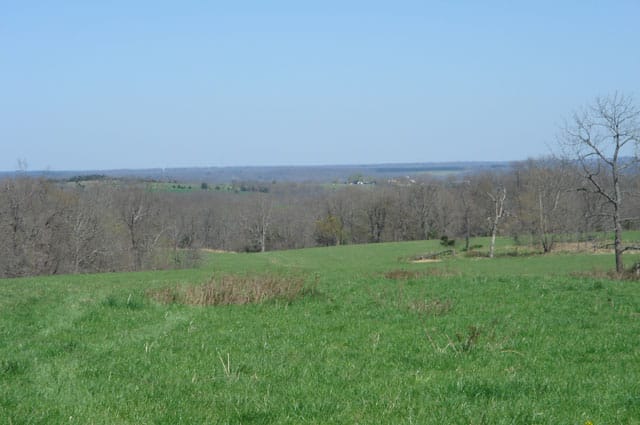 Whispering Oaks photo 6