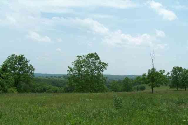 Whispering Oaks photo 12