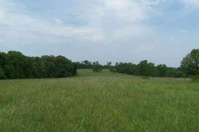 Whispering Oaks photo 9