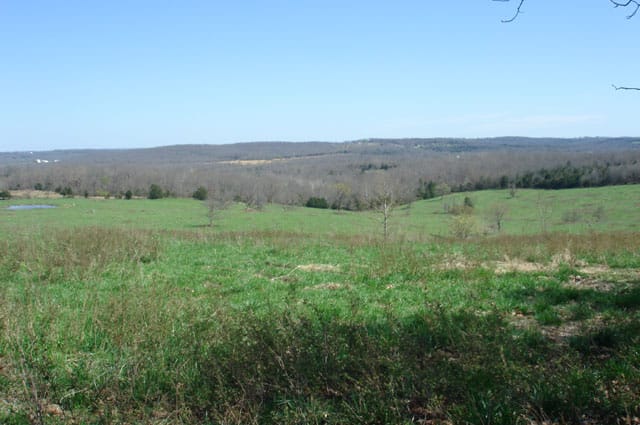 Whispering Oaks photo 8