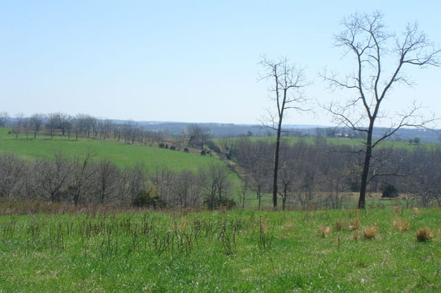 Whispering Oaks photo 14