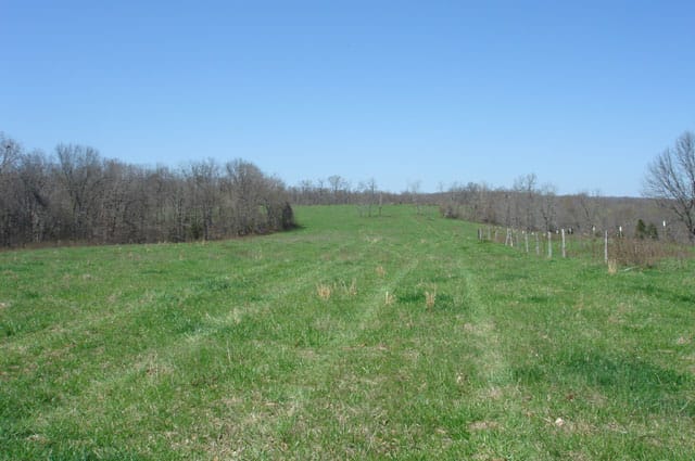 Whispering Oaks photo 5
