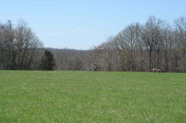 Whispering Oaks photo 7