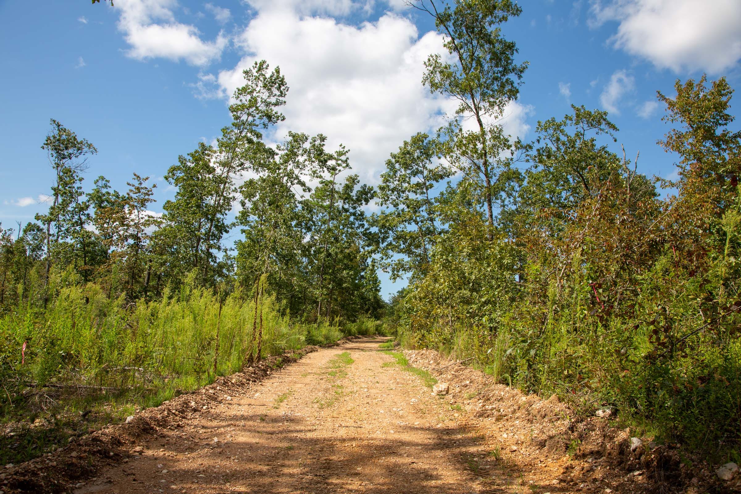 Borgmann’s Hollow Phase II photo 9