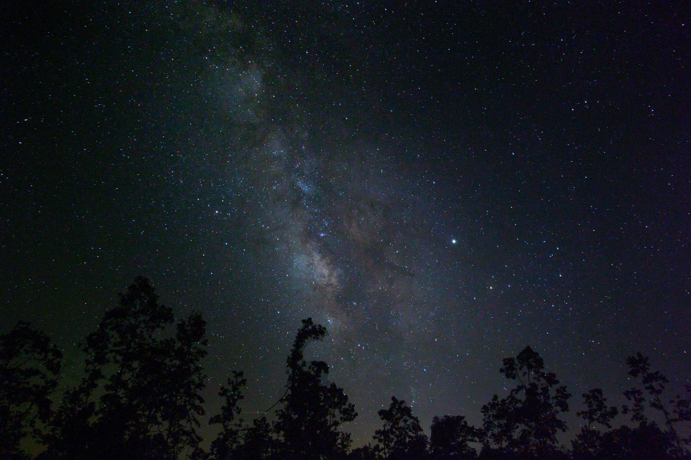 Borgmann’s Hollow Phase II photo 1