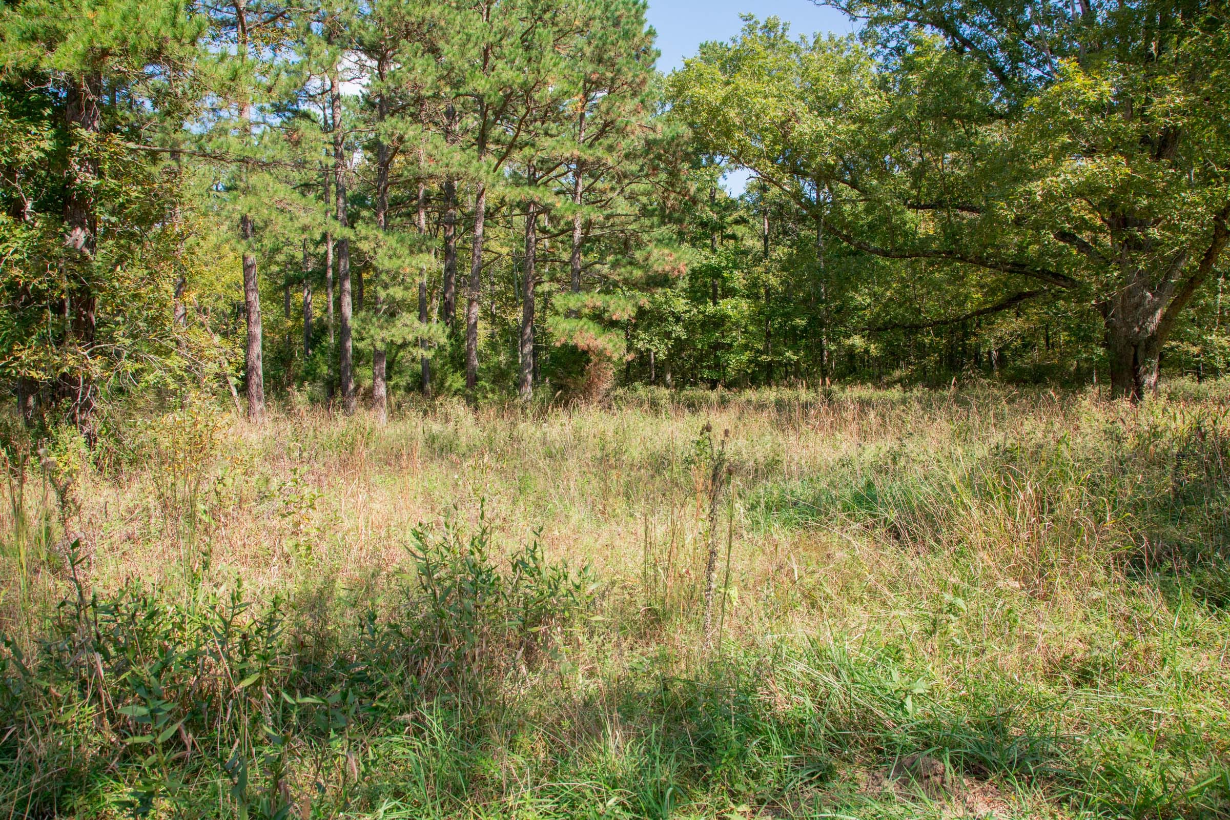 Wagon Wheel Ranch photo 15
