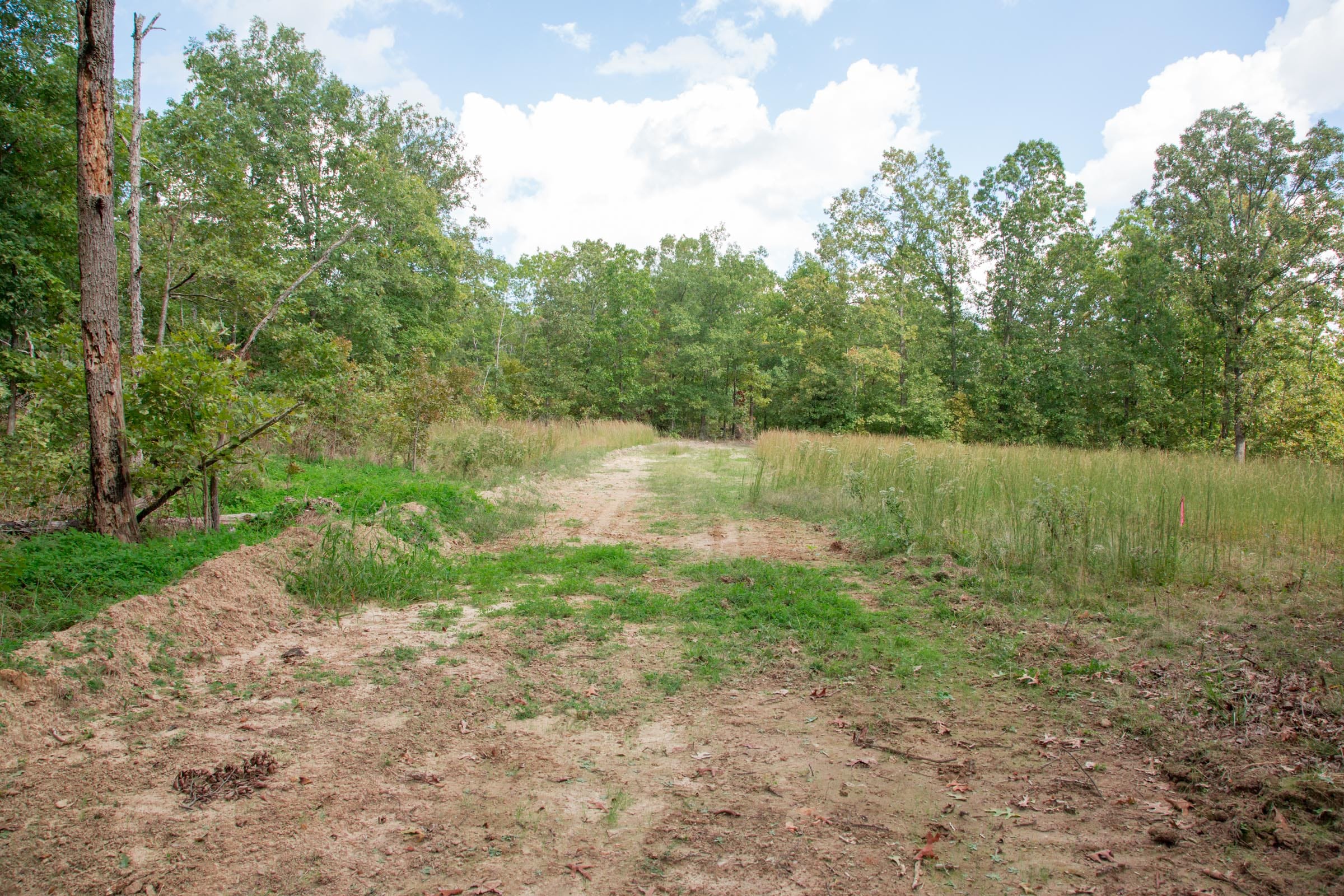 Wagon Wheel Ranch photo 9