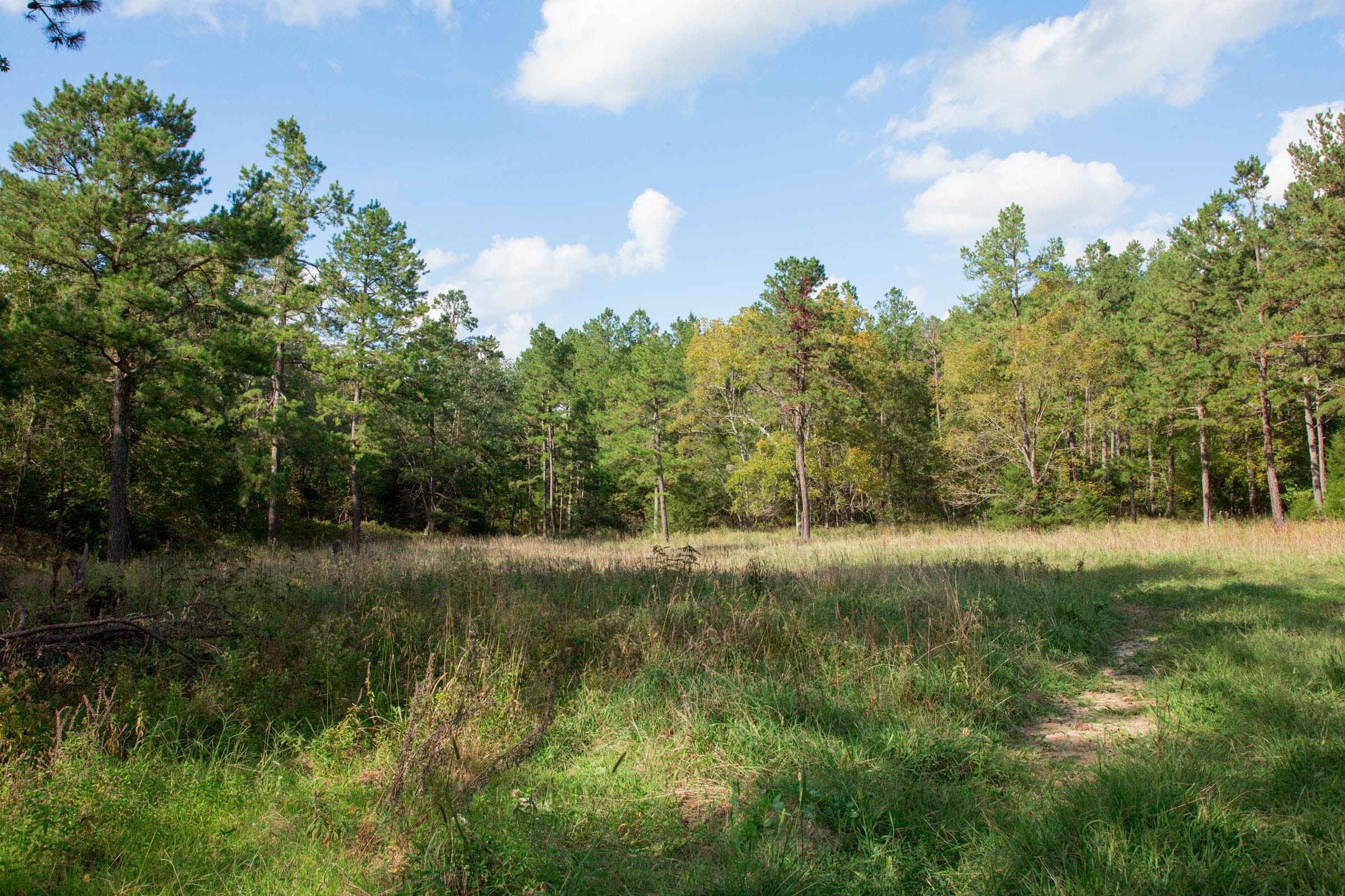 Wagon Wheel Ranch photo 13