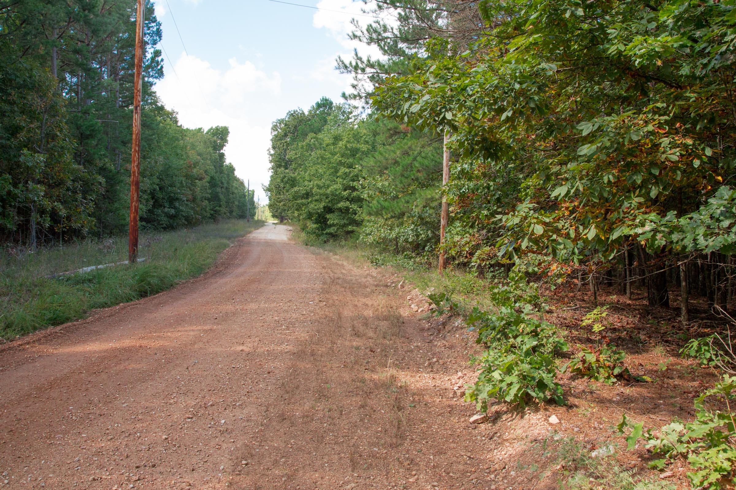 Wagon Wheel Ranch photo 3