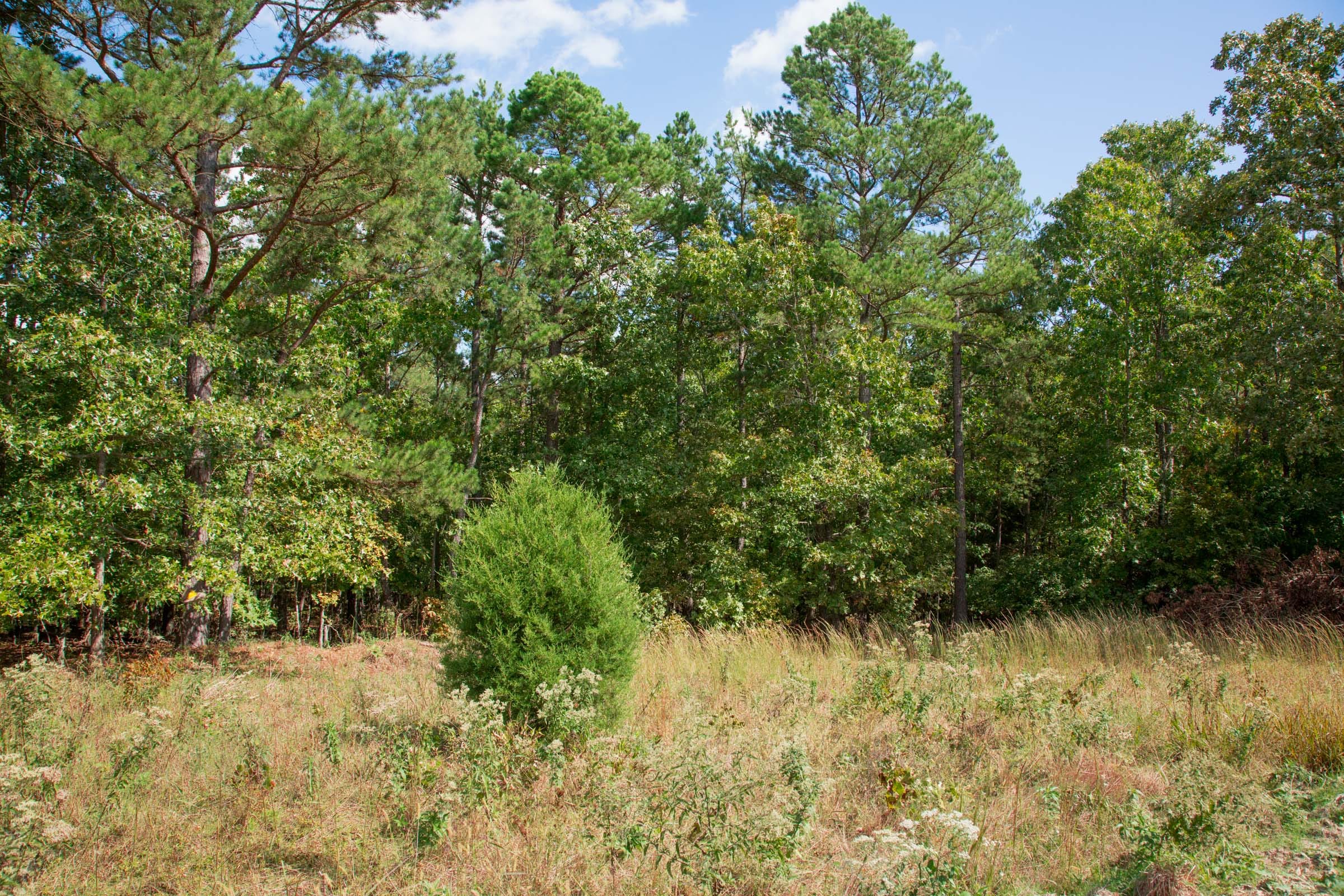 Wagon Wheel Ranch photo 19