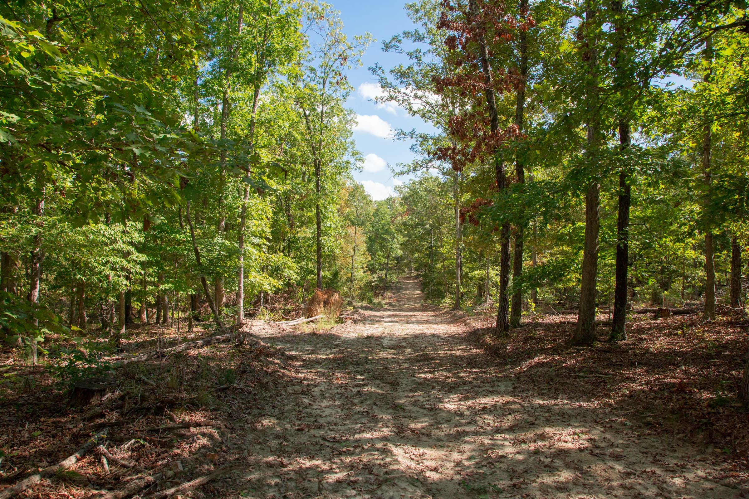 Wagon Wheel Ranch photo 20