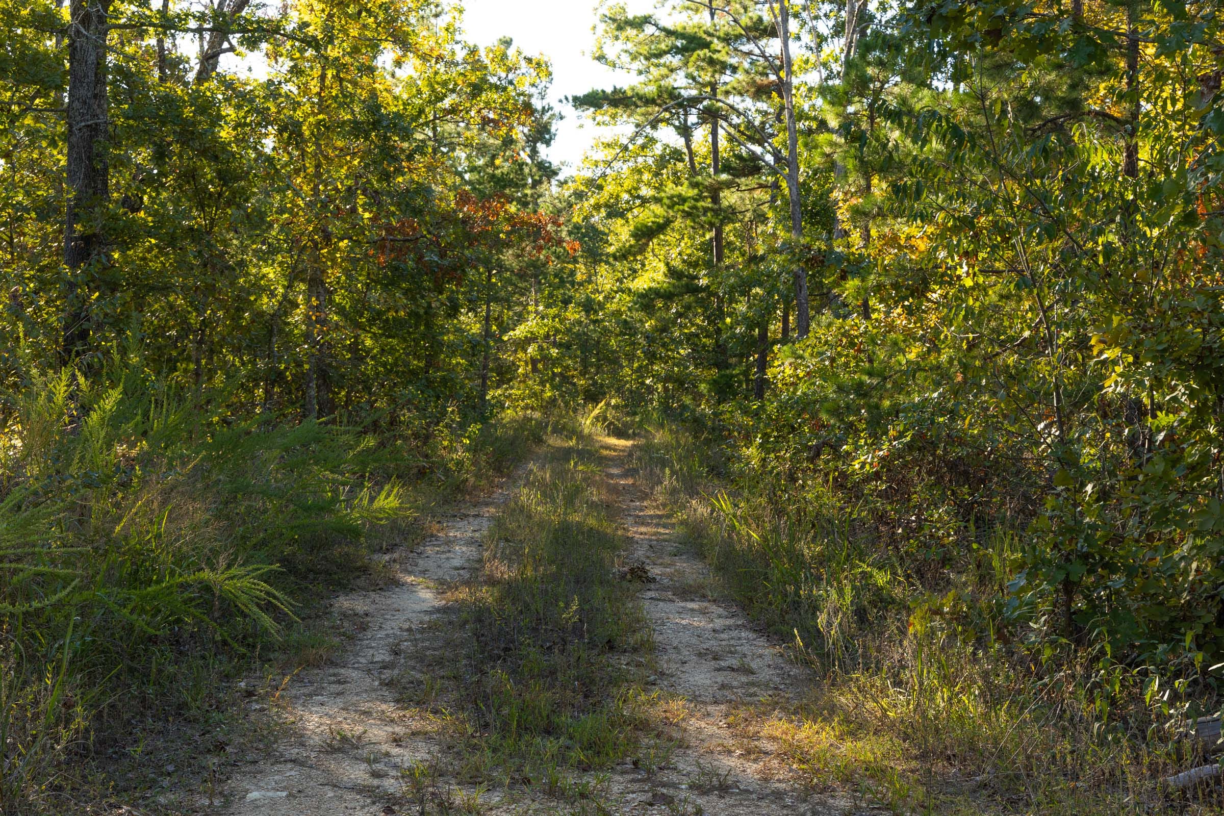 Fox Hollow photo 2