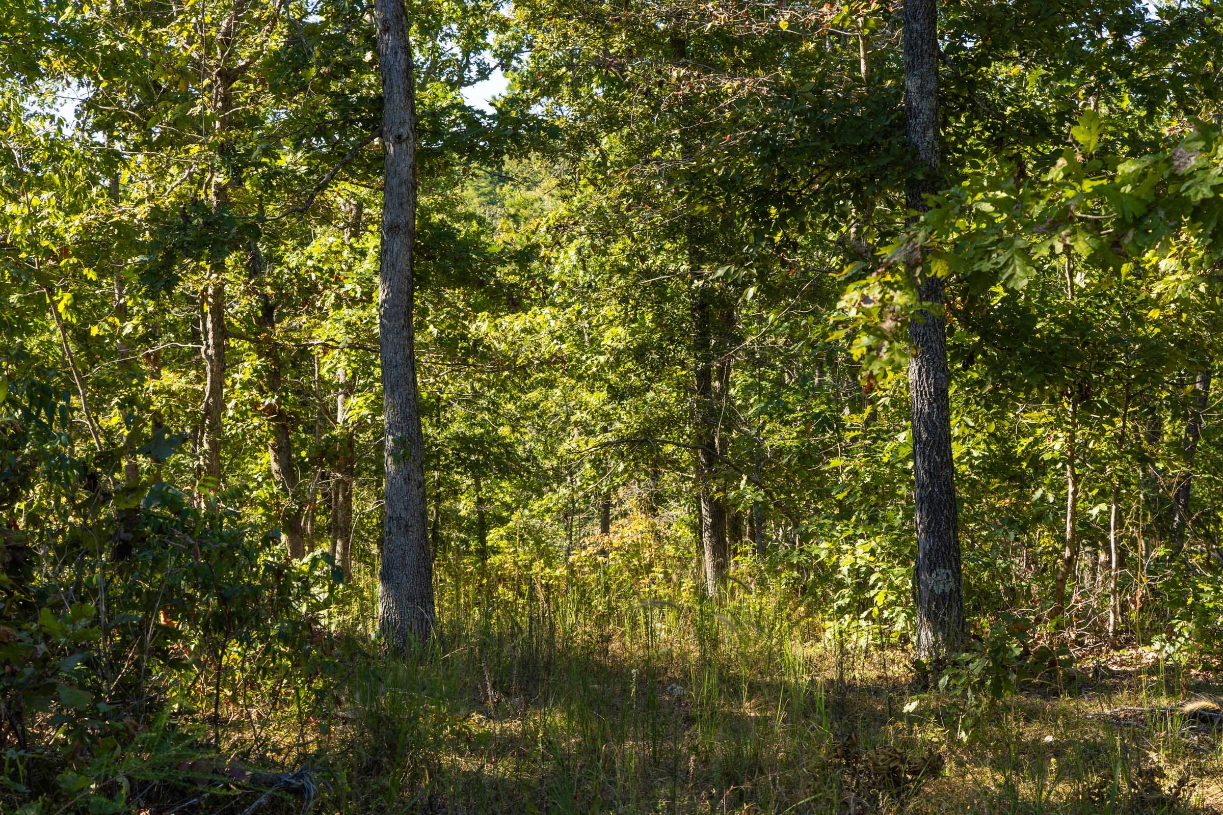 Fox Hollow photo 6