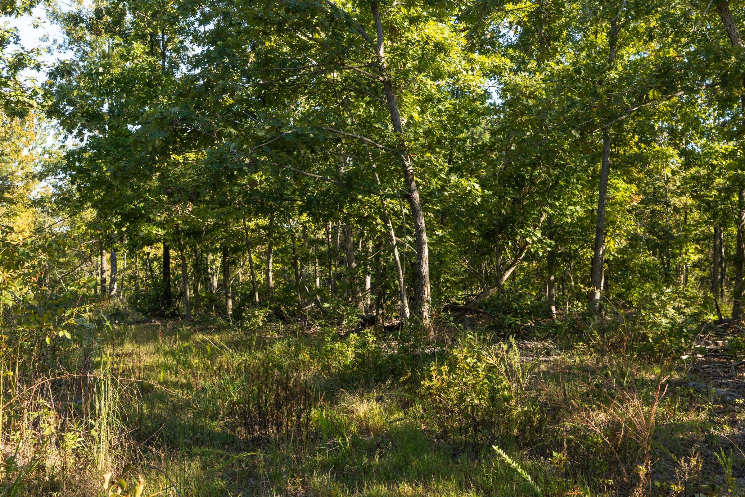 Fox Hollow photo 3