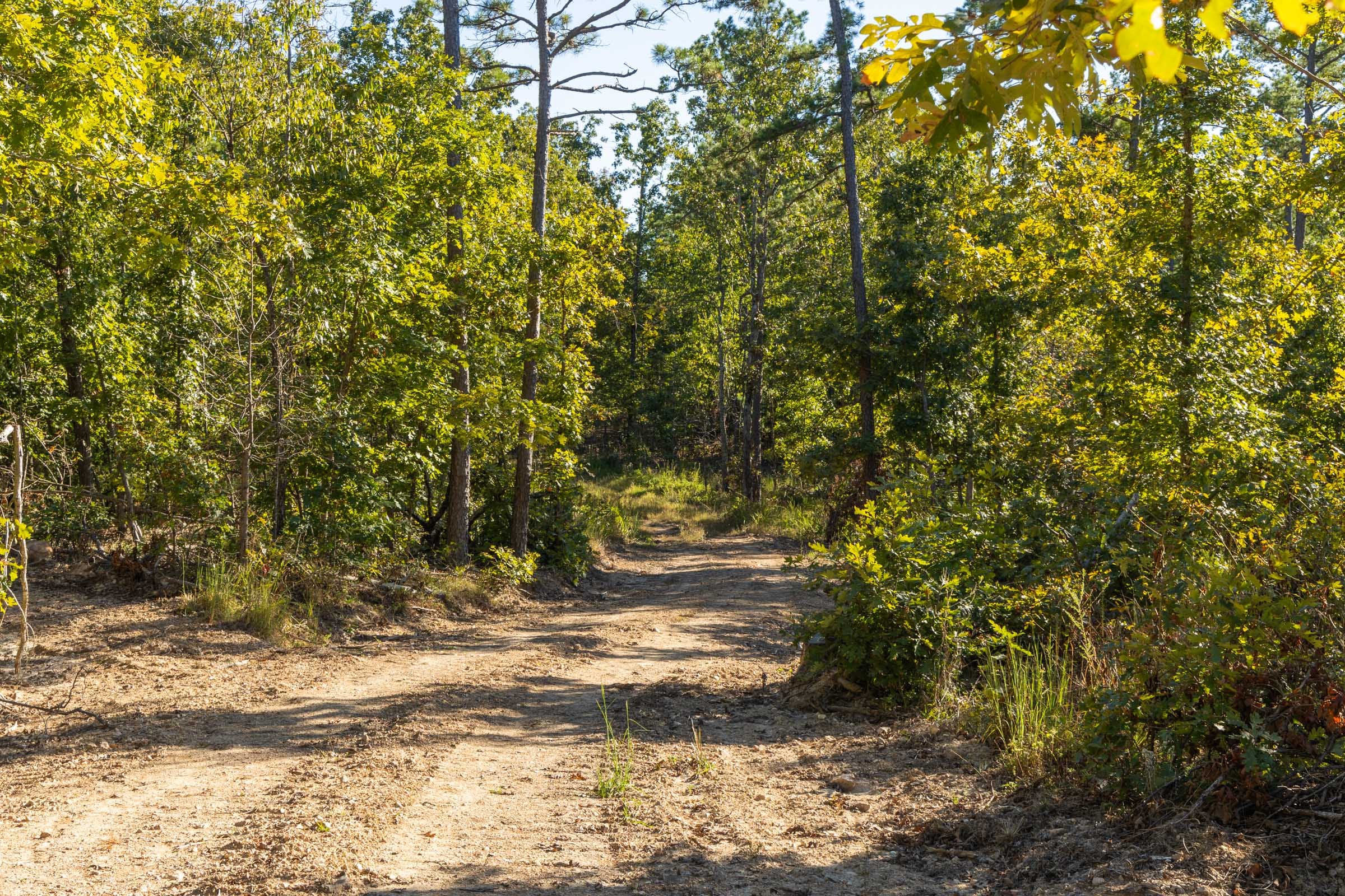 Fox Hollow photo 4